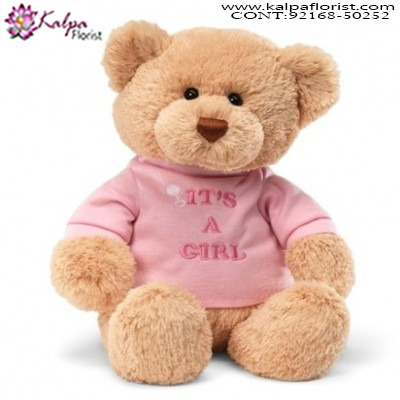 soft teddy bears online