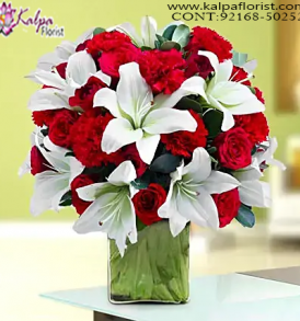 Flower Delivery in Chandigarh, Online Flower Delivery in Bangalore, Cheap Online Flower Delivery in Bangalore, Send Flowers Online Cheap, Send Flowers Online Same Day, Online Bouquet Delivery Chandigarh, Send Flowers Online India, Send Flowers Online Near Me, Send Flowers Online Uk, Order Flowers Online in Chandigarh, Send Flowers Online Australia, Send Flowers to Chandigarh Online, Online Flower Delivery Chandigarh, Online Bouquet Delivery in Chandigarh, Online Delivery of Flowers in Chandigarh, Send Flowers Online Abroad, Kalpa Florist.