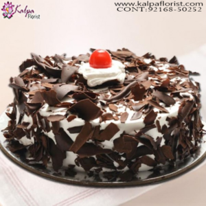 Order Birthday Cake Online Near Me, Cakes In Chandigarh Online, Best Cakes In Chandigarh, Designer Cakes In Chandigarh, Cakes Delivery In Chandigarh, Theme Cakes In Chandigarh,  Birthday Cakes In Chandigarh,  Cake Online, Wedding Anniversary Cakes In Chandigarh, Online Cake Delivery Near Me, Barbie Cakes In Chandigarh,  Send Cakes Online with home Delivery, Online Cake Delivery India,  Online shopping for  Cakes, Order Birthday Cakes, Order Cakes Online In Chandigarh, Birthday Cakes Online In Chandigarh, Best Birthday Cakes in Chandigarh, Online Cakes Delivery In Chandigarh, Kalpa Florist.