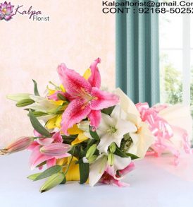 Send Online Flowers in Delhi, Online Flower Delivery in Bangalore, Cheap Online Flower Delivery in Bangalore, Send Flowers Online Cheap, Send Flowers Online Same Day, Online Bouquet Delivery Chandigarh, Send Flowers Online India, Send Flowers Online Near Me, Send Flowers Online Uk, Order Flowers Online in Chandigarh, Send Flowers Online Australia, Send Flowers to Chandigarh Online, Online Flower Delivery Chandigarh, Online Bouquet Delivery in Chandigarh, Online Delivery of Flowers in Chandigarh, Send Flowers Online Abroad, Kalpa Florist.