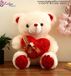 Send Soft Toys to Chandigarh, Teddy Bear Delivery in Chandigarh, Online Teddy Bear Delivery in Chandigarh, Soft Toy in Chandigarh, Soft Toy Shop in Chandigarh, Send Soft Toys Online India, Buy & Send Soft Toys Online, Send Online Gifts to Chandigarh, Birthday Surprise in Chandigarh, Teddy Bear, Send Teddy Bear to Chandigarh, Soft Toys Chandigarh, Soft Toys Chandigarh India, Soft Toys Gifts in Chandigarh, Kalpa Florist.