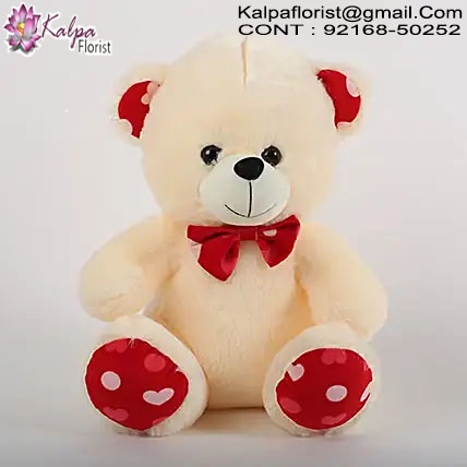 Fluffy Teddy Bear Send Teddy Bears to India