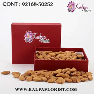 diwali dry fruits gift, diwali dry fruits gift box, diwali dry fruits gift pack online, online diwali gifts dry fruits, diwali dry fruits gift, diwali dry fruits gift pack, diwali dry fruits gift pack price, diwali dry fruits gifts, diwali dry fruit gift for diwali, dry fruits gift pack for diwali, dry fruits gift box for diwali, dry fruit gift packing for gifting,  kalpa florist