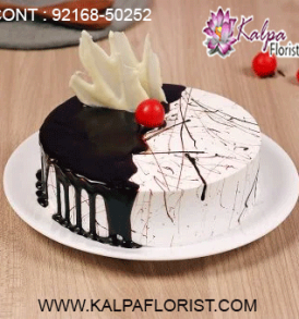 online cake delivery in khanna, online cake delivery in ferozepur punjab, online cake delivery in ferozepur, online cake delivery jalandhar, online cake delivery in amritsar, online cake delivery in mohali, online cake delivery in chandigarh, online cake delivery in gurgaon, online cake delivery in pathankot, online cake delivery in ludhiana, online cake delivery in bathinda, order a cake online delivery, kalpa florist send cake in india, send cake to india, how to send a cake online for birthday, how to send cake online in india, does monginis do home delivery, how to deliver cake in delhi, send birthday cake in india, how to deliver cake in canada from india, how to send birthday cake online in india, cake delivery in bangalore india, send cake anywhere in india, cake delivery in patna india, send cake to india from canada, cake delivery in indore india, send cake to mumbai india, cake delivery in nagpur india, cake delivery in india hyderabad, cake delivery in ghaziabad india, buy send cake to india from australia, online cake delivery in india same day, how to send flowers and cake in india, cake delivery in surat india, cake delivery india reviews, how can i send cake to india, send cake in india online, how to send cake to india, want to send cake for birthday in india, send cake to india from uk, how to order cake from india to usa, how to order cake online in india, send cake to india hyderabad, send birthday cake and flowers online in india, cake delivery in lucknow india, send cake to india from dubai, can i order monginis cake online, send cake to surat india