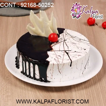 online cake delivery in khanna, online cake delivery in ferozepur punjab, online cake delivery in ferozepur, online cake delivery jalandhar, online cake delivery in amritsar, online cake delivery in mohali, online cake delivery in chandigarh, online cake delivery in gurgaon, online cake delivery in pathankot, online cake delivery in ludhiana, online cake delivery in bathinda, order a cake online delivery, kalpa florist send cake in india, send cake to india, how to send a cake online for birthday, how to send cake online in india, does monginis do home delivery, how to deliver cake in delhi, send birthday cake in india, how to deliver cake in canada from india, how to send birthday cake online in india, cake delivery in bangalore india, send cake anywhere in india, cake delivery in patna india, send cake to india from canada, cake delivery in indore india, send cake to mumbai india, cake delivery in nagpur india, cake delivery in india hyderabad, cake delivery in ghaziabad india, buy send cake to india from australia, online cake delivery in india same day, how to send flowers and cake in india, cake delivery in surat india, cake delivery india reviews, how can i send cake to india, send cake in india online, how to send cake to india, want to send cake for birthday in india, send cake to india from uk, how to order cake from india to usa, how to order cake online in india, send cake to india hyderabad, send birthday cake and flowers online in india, cake delivery in lucknow india, send cake to india from dubai, can i order monginis cake online, send cake to surat india