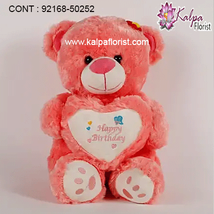send teddy