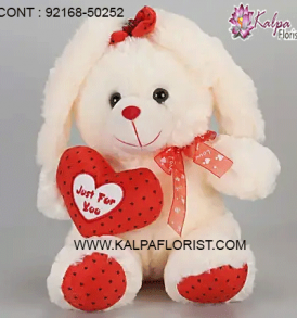 Buy big teddy bear online in India at Lowest Price and Cash on Delivery. Offers and discounts on big teddy bear at Kalpa Florist Shopping. Gift big teddy bear online and compare big teddy bear features and specifications!