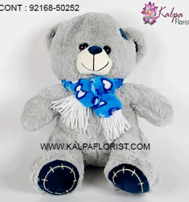Buy Teddy bear soft toy happy birthday message card for sister online at a discounted price from Kalpa Florist Shop Toys, Baby & Kids, Toys Lowest Prices. Shop now!