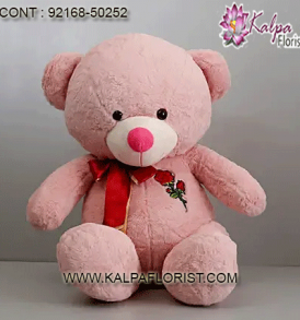 Buy cute teddy bears online for kids at low price in India at Kalpa Florist. Shop & send small, big teddy bear gifts for valentine's day, birthday, anniversary with best offers.