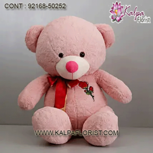 Buy cute teddy bears online for kids at low price in India at Kalpa Florist. Shop & send small, big teddy bear gifts for valentine's day, birthday, anniversary with best offers.