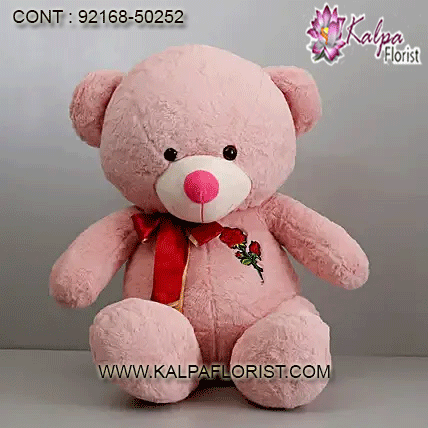 teddy bear gift