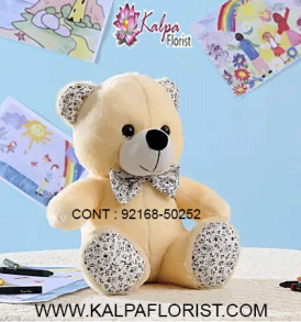 Buy Teddy Bear online and send a surprising gift to your loved ones in India. Send a Teddy Bear combined with fresh flowers and chocolate - and congratulate close acquaintances while bringing smiles on their faces