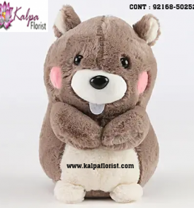 Shop for Teddy Bear Shop Near Me online at best prices in India. Choose from a wide range of Teddy Bear at Kalpa Florist.