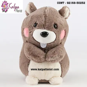 Shop for Teddy Bear Shop Near Me online at best prices in India. Choose from a wide range of Teddy Bear at Kalpa Florist.