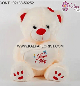 Order Teddy Bear Online in India with Flowers, Cakes, Chocolates & more. Online Teddy Bears, Soft Toys Gift Shop in India.