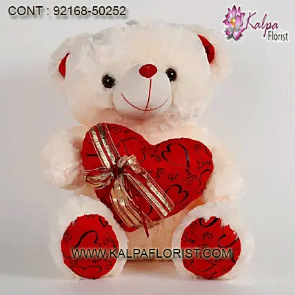 teddy bear latest