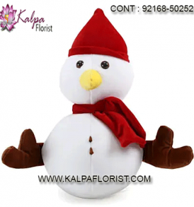 The Kalpa Florist Shop is one of largest online sellers of soft toys & teddy bears. Browse our affordable & high-quality collection for the perfect gift.