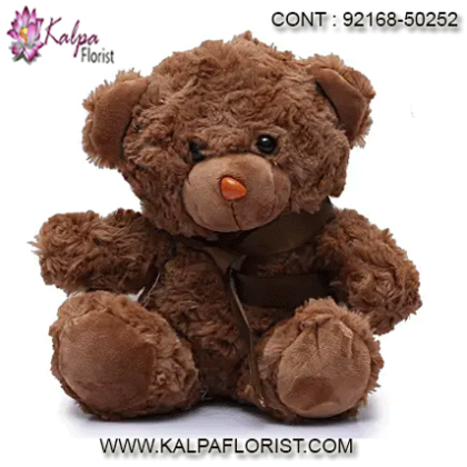 Shop online for Soft toys on Kalpa Florist and discover its latest collection of soft toys for girlfriend & kids. Send these lovely gifts to your loved ones