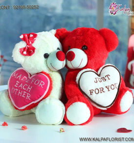 Choose from these Valentine Day gift ideas for boyfriend, girlfriend, husband, father or brother to show him how much you love him.