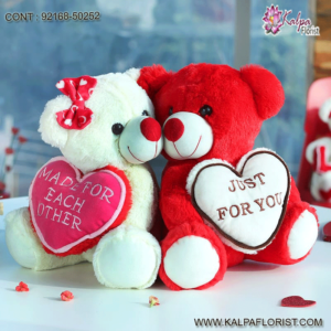 Choose from these Valentine Day gift ideas for boyfriend, girlfriend, husband, father or brother to show him how much you love him.