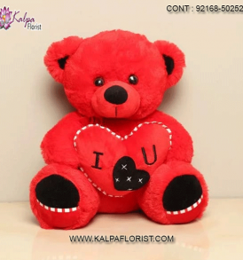 Buy Teddy Bear At Lowest Price - Buy online red teddy bear at lowest price in India on Kalpa Florist - Home Delivery & Cash on Delivery Available.