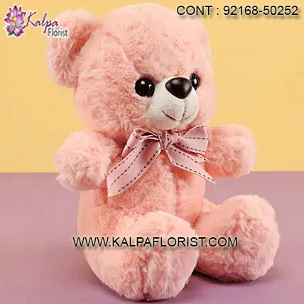 where to buy teddy bears near me