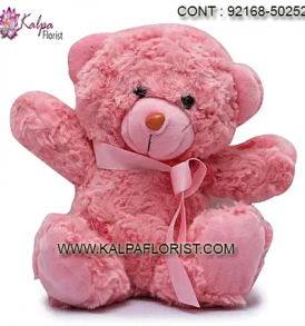 Buy best quality soft toys at Kalpa Florist. Shop online soft toys including Flowers, Chocolates & Dry Fruits, Sweets and more at best price.