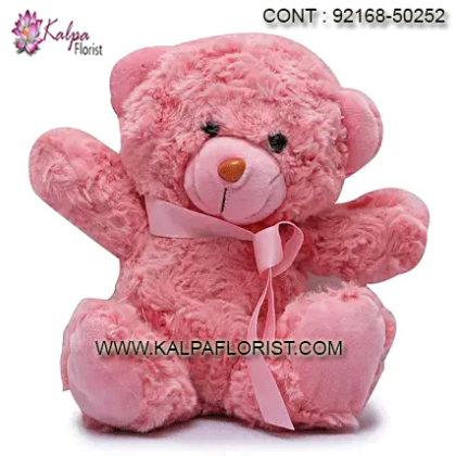 Buy teddy bear online delivery Kalpa Florist