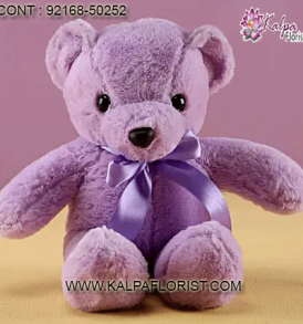Online Delivery Teddy Bear and Gifts store giving you a choice of wide variety of Teddy bear and other gifts. for more details call us.