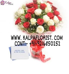 Red N White Roses