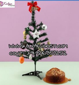 Xmas Tree Almond Cake