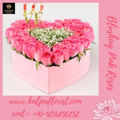 Blushing Pink Roses Bunch ( Florist In Jalandhar )