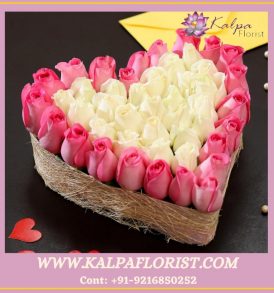 White and Pink Flower Flower Pint In Jalandhar
