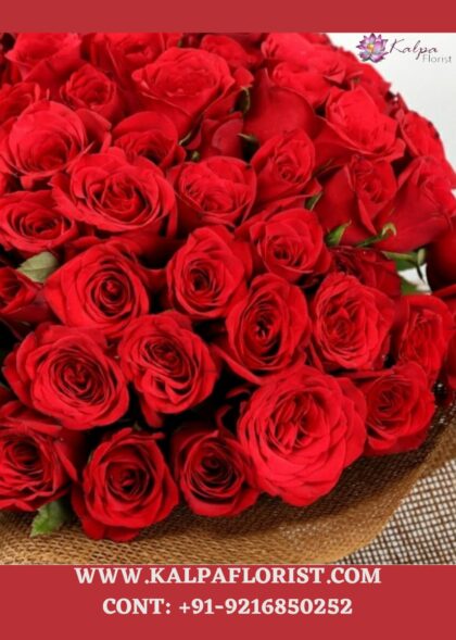 Online Flower Delivery In Jalandhar, Hundred Red Rose Bunch | Online Flower Delivery In Patiala | Kalpa Florist, roses bouquet for wedding, white rose bouquet for wedding, floral bouquet for wedding, how much does a bouquet of roses cost, how many roses for bridal bouquet, rose gold bouquet for wedding, how to make a floral bouquet for a wedding, rose flower wedding dress, best white roses for wedding bouquet, what are the best flowers for wedding bouquets, best roses for wedding bouquet valentine week, valentine week days, which day valentine week, valentine week 2020, valentine week events, valentine week list, valentine week list 2020, valentine week day today, valentine week days list , valentine week 7 days, in valentine week today is which day, valentine week which day today, valentine week quotes, valentine week chocolate day, ideas for valentine week, valentine week ideas, valentine week today, valentine week of february, valentine week image, flower delivery in punjab, online cake and flower delivery in punjab, flower delivery jalandhar punjab, flower delivery online amritsar punjab, flower delivery in moga punjab, online flower delivery in punjab, online delivery from usa to india, flower delivery to india from australia, flower delivery from canada,  online flower delivery from uk to india, best flowrist in jalandhar punjab, flower point in jalandhar, Hundred Red Rose Bunch | Online Flower Delivery In Patiala | Kalpa Florist,   florist near me, florist shop near me, florist who deliver near me, florist near me that deliver, florist delivery near me, florist for wedding near me, florist near me wedding, florist near me open now, florist near my location, florist near me open sunday, florist website, florist online order,