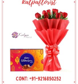 Special Gifts Flower And Chocolate Delivery Near Me, , Special Gifts | Flower And Chocolate Delivery Near Me | Kalpa Florist, buy special gifts, special gifts for him, special gifts for her, special gifts him, special gifts for friends, special gifts for daughters, special gifts for mom, special mother's day gifts, special gifts on birthday, special gifts for valentines day, special granddaughter gifts, special gifts for boyfriend, special gifts for men, special gifts for husband, special gifts christmas, special gifts boyfriend, special gifts for best friend, special grandma gifts, special graduation gifts, special auntie gifts, latest special gifts girlfriend, special anniversary gifts, special gifts for girlfriend, special gifts for him birthday, special gifts husband, special grandad gifts, special niece gifts, special gifts theater, special gift ideas, special needs gifts, special memory gifts, special valentines gifts for him, special retirement gifts, special gifts for brother, special photo gifts, special gifts for girls, special personalized gifts, special valentines gifts for her, special nurse gifts , special gifts 60th birthday,special mom gifts, you are special gifts, special gift shop, special engagement gifts, special gifts delivered, special newborn gifts, new flower and chocolate delivery in delhi, online flower and chocolate delivery in delhi, flower bouquet delivery in dwarka delhi, chocolates and flowers, chocolates and flowers delivery, chocolates and flowers delivered, flowers and chocolates gift baskets, chocolates and flowers images, chocolates and flowers cathy cassidy, send godiva chocolates and flowers, flowers and free chocolates, happy birthday chocolates and flowers, flowers and chocolates online, flowers and chocolates delivery manila, flowers and chocolates free delivery, chocolates and flowers online, flowers and chocolates for easter, labelle chocolates and flowers, chocolates and flowers for delivery, flowers and chocolates for christmas, chocolates and flowers quotes, chocolates and flowers for birthday, chocolates and flowers for valentines, valentine week, valentine week days, which day valentine week, valentine week 2020, valentine week events, valentine week list, valentine week list 2020, valentine week day today, valentine week days list , valentine week 7 days, in valentine week today is which day, valentine week which day today, valentine week quotes, valentine week chocolate day, ideas for valentine week, valentine week ideas, valentine week today, valentine week of february, valentine week image, flower delivery in punjab, online cake and flower delivery in punjab, flower delivery jalandhar punjab, flower delivery online amritsar punjab, flower delivery in moga punjab, online flower delivery in punjab, online delivery from usa to india, flower delivery to india from australia, flower delivery from canada,  online flower delivery from uk to india, best flowrist in jalandhar punjab, flower point in jalandhar,  online gifts delivery in jaipur, women day, chocolate roses bouquet, chocolate flower bouquet, bouquet of chocolate roses, chocolate covered strawberry roses bouquet, chocolate covered strawberries bouquet with roses, chocolate strawberry rose bouquet, chocolate strawberry rose bouquets, chocolate roses delivered, chocolate bouquet with roses, chocolate and roses bouquet, how to make homemade chocolate bouquet, how to make chocolate roses bouquet, chocolate rose bouquet how to make, how to make simple chocolate bouquet, Special Gifts | Flower And Chocolate Delivery Near Me | Kalpa Florist,