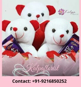 Teddy Bear & Chocolate Gift Basket | Gifts Delivery In India | Kalpa Florist, online gifts delivery in india, online gifts delivery to india, online gifts in india same day delivery, online gifts delivery in bangalore, online gifts delivery in canada, online gifts delivery in hyderabad, online gifts delivery in lucknow, online gifts delivery in bathinda, online gifts delivery in mumbai,, online gifts delivery in ludhiana, online birthday gifts delivery in india, online gifts delivery in varanasi, online gifts delivery in jalandhar, online delivery of gifts in delhi, online delivery gifts for birthday, online gifts delivery in one day, combo gifts, combo gifts for him, rakhi combo gifts for sister, chocolate combo gifts, combo gifts for boyfriend, gifts ungiven combo, valentine combo gifts for her, combo gifts for brother, combo birthday gifts for boyfriend, rakhi combo gifts for brother, birthday combo gifts for girlfriend, diwali combo gifts, combo gifts for girlfriend, combo birthday gifts, best combo gift for boyfriend, combo gifts for couples, combo return gifts, combo gifts online, christmas combo gifts, combo gifts for husband, rakhi combo gifts online, combo gifts for parents, birthday combo gifts for him, birthday combo gifts online, anniversary combo gifts, combo gift pack, rakhi combo gifts, Teddy Bear And Chocolate Gift Basket, gifts delivery in india, gifts to deliver in india, online gifts delivery in india, how to send gifts in india, deliver gifts online india, best same day gift delivery, how to send surprise gifts in india, how to deliver gifts in india, what to gift from india, how to courier a gift in india diwali gifts online delivery in india, ,online gifts delivery in dubai from india, how to deliver gifts online, birthday gifts delivery in india, what to gift when baby is born, online birthday gifts delivery in india, Teddy Bear & Chocolate Gift Basket | Gifts Delivery In India | Kalpa Florist,