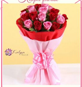 Womens Day Gifts,Women's Day Gifts | Order Flowers And Cake Online Delhi | Kalpa Florist, mother's day gifts online delivery, mothers day gifts online delivery, what can i get delivered for mother's day,  flower and cake cake flour walmart, flower for cake decorating, flower cake ideas, cake flour near me, flower and cake delivery, flower cake with cupcakes, flower and butterfly cake, flower cake pan, flower cake arrangement, flower with cake delivery, flower and birthday cake delivery, order flowers and cake online delhi, online order cake and flowers in delhi, online flowers and cake delivery in delhi valentine week, valentine week days, which day valentine week, valentine week 2020, valentine week events, valentine week list, valentine week list 2020, valentine week day today, valentine week days list , valentine week 7 days, in valentine week today is which day, valentine week which day today, valentine week quotes, valentine week chocolate day, ideas for valentine week, valentine week ideas, valentine week today, valentine week of february, valentine week image, mother's day, mothers day uk, mother's day wish, mothers day cake, mothers day usa, mother day special, mother's day in india, mother day 2022, mother day out near me, mothers day date 2020, mother day england, mothers day australia, mother day gifts online, mothers day uk 2020, women's day gift, women's day gift ideas, women's valentine's day gift ideas, women's day gift ideas in office, best gift for female employees, women's day celebration gifts, woman's day gift subscription, women's day gift hampers, women's day gifts online india, women's day gift options, women's day special gift for wife, women's day gift ideas for wife, women's day gift delivery, women's day gift for friend, best women's day gift ideas flower delivery in punjab, online cake and flower delivery in punjab, flower delivery jalandhar punjab, flower delivery online amritsar punjab, flower delivery in moga punjab, online flower delivery in punjab, online delivery from usa to india, flower delivery to india from australia, flower delivery from canada,  online flower delivery from uk to india, best flowrist in jalandhar punjab, flower point in jalandhar, Women's Day Gifts | Order Flowers And Cake Online Delhi | Kalpa Florist,