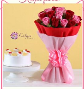 Womens Day Gifts Order Flower And Cake Online Delhi Jalandhar,Women's Day Gifts | Order Flowers And Cake Online Delhi | Kalpa Florist, mother's day gifts online delivery, mothers day gifts online delivery, what can i get delivered for mother's day,  flower and cake cake flour walmart, flower for cake decorating, flower cake ideas, cake flour near me, flower and cake delivery, flower cake with cupcakes, flower and butterfly cake, flower cake pan, flower cake arrangement, flower with cake delivery, flower and birthday cake delivery, order flowers and cake online delhi, online order cake and flowers in delhi, online flowers and cake delivery in delhi valentine week, valentine week days, which day valentine week, valentine week 2020, valentine week events, valentine week list, valentine week list 2020, valentine week day today, valentine week days list , valentine week 7 days, in valentine week today is which day, valentine week which day today, valentine week quotes, valentine week chocolate day, ideas for valentine week, valentine week ideas, valentine week today, valentine week of february, valentine week image, mother's day, mothers day uk, mother's day wish, mothers day cake, mothers day usa, mother day special, mother's day in india, mother day 2022, mother day out near me, mothers day date 2020, mother day england, mothers day australia, mother day gifts online, mothers day uk 2020, women's day gift, women's day gift ideas, women's valentine's day gift ideas, women's day gift ideas in office, best gift for female employees, women's day celebration gifts, woman's day gift subscription, women's day gift hampers, women's day gifts online india, women's day gift options, women's day special gift for wife, women's day gift ideas for wife, women's day gift delivery, women's day gift for friend, best women's day gift ideas flower delivery in punjab, online cake and flower delivery in punjab, flower delivery jalandhar punjab, flower delivery online amritsar punjab, flower delivery in moga punjab, online flower delivery in punjab, online delivery from usa to india, flower delivery to india from australia, flower delivery from canada,  online flower delivery from uk to india, best flowrist in jalandhar punjab, flower point in jalandhar, Women's Day Gifts | Order Flowers And Cake Online Delhi | Kalpa Florist,