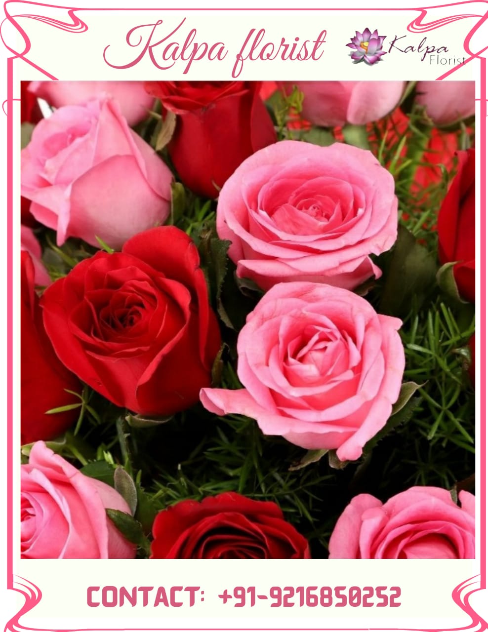 Womens Day Gifts Order Flower And Cake Online Near Me, Women's Day Gifts | Order Flowers And Cake Online Delhi | Kalpa Florist, mother's day gifts online delivery, mothers day gifts online delivery, what can i get delivered for mother's day, flower and cake cake flour walmart, flower for cake decorating, flower cake ideas, cake flour near me, flower and cake delivery, flower cake with cupcakes, flower and butterfly cake, flower cake pan, flower cake arrangement, flower with cake delivery, flower and birthday cake delivery, order flowers and cake online delhi, online order cake and flowers in delhi, online flowers and cake delivery in delhi valentine week, valentine week days, which day valentine week, valentine week 2020, valentine week events, valentine week list, valentine week list 2020, valentine week day today, valentine week days list , valentine week 7 days, in valentine week today is which day, valentine week which day today, valentine week quotes, valentine week chocolate day, ideas for valentine week, valentine week ideas, valentine week today, valentine week of february, valentine week image, mother's day, mothers day uk, mother's day wish, mothers day cake, mothers day usa, mother day special, mother's day in india, mother day 2022, mother day out near me, mothers day date 2020, mother day england, mothers day australia, mother day gifts online, mothers day uk 2020, women's day gift, women's day gift ideas, women's valentine's day gift ideas, women's day gift ideas in office, best gift for female employees, women's day celebration gifts, woman's day gift subscription, women's day gift hampers, women's day gifts online india, women's day gift options, women's day special gift for wife, women's day gift ideas for wife, women's day gift delivery, women's day gift for friend, best women's day gift ideas flower delivery in punjab, online cake and flower delivery in punjab, flower delivery jalandhar punjab, flower delivery online amritsar punjab, flower delivery in moga punjab, online flower delivery in punjab, online delivery from usa to india, flower delivery to india from australia, flower delivery from canada, online flower delivery from uk to india, best flowrist in jalandhar punjab, flower point in jalandhar, Women's Day Gifts | Order Flowers And Cake Online Delhi | Kalpa Florist,