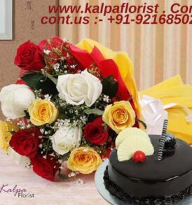 Chocolate Cake & Fall In Love Mixed Roses Combo |  Flower And Cake For Birthday | Kalpa Florist, flower and cake for birthday, flower cake designs birthday, flower cake arrangements birthday, birthday flower and cake delivery, flower birthday cake for little girl, flower birthday cake for girl, flower and cake birthday images, Fall In Love Flower And Cake For Birthday | Kalpa Florist, You can Order From : France, Spain, Canada, Malaysia, United States, Italy, United Kingdom, Australia, New Zealand, Singapore, Germany, Kuwait, Greece, Russia, Toronto, Melbourne, Brampton, Ontario, Singapore, Spain, New York, Germany, Italy, London delivery in india, punjab,  