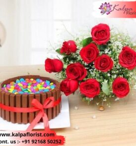 Flower And Cake For Birthday Same Day Gifts Delivery In Delhi