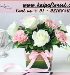 Roses For Birthday Send Flowers To India From USA Jalandhar | Kalpa Florist, how to send flowers to india, how to send flowers to india from usa, best website to send flowers to india from usa, send flowers and cake to india from usa, send flowers to india from usa online, send flowers in india from usa, can i send flowers to india, how to send flowers to someone in india from usa,  roses for birthday, roses on birthday, roses for a birthday, roses birthday cake, bouquet of roses for birthday, roses themed birthday party, roses with birthday wishes, roses for birthday wishes, roses for birthday gift, red roses for birthday, roses happy birthday images, yellow roses for birthday, roses birthday decorations, what to send instead of flowers for birthday, what color roses for birthday,. buy roses birthday theme, color of roses for birthday, 60 roses for 60th birthday, white roses for birthday, 30 roses for 30th birthday, beautiful roses for birthday, roses for 50th birthday, what flower represents 50th birthday, roses for her birthday, happy birthday roses quotes, roses for 60th birthday, 80 roses for 80th birthday, what color roses for 70th birthday, 50 roses for 50th birthday, roses for 70th birthday, 21 roses for 21st birthday, 60th birthday roses, roses and balloons for birthday, red roses for birthday wishes, what color roses for daughters birthday, how many roses to give for birthday, roses for 40th birthday, 7 roses for 7th birthday, birthday roses for a friend, best roses for a birthday gift, birthday roses quotes, how many roses for birthday, roses for 18th birthday, what is the best flower for birthday, best roses for birthday, roses for birthday presents, 18 roses for 18th birthday, roses for 80th birthday, send roses for birthday, roses for your birthday, what flower represents your birthday, roses for mama today's her birthday, roses for girlfriend birthday, are roses good for birthdays, red roses for birthday girl, Roses For Birthday | Send Flowers To India From USA | Kalpa Florist what color roses for 50th birthday, cake and roses for birthday, what color roses for mom's birthday, 7 roses for 7th birthday meaning, roses are red poems for 50th birthday, bunch of roses for birthday, what is a 30th birthday called, what to say for a 30th birthday You can Order From : France, Spain, Canada, Malaysia, United States, Italy, United Kingdom, Australia, New Zealand, Singapore, Germany, Kuwait, Greece, Russia, Toronto, Melbourne, Brampton, Ontario, Singapore, Spain, New York, Germany, Italy, London delivery in india, punjab 