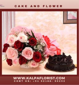 Find : Flower and Cake For Birthday | Birthday Surprise For Her | Kalpa Florist, birthday surprise for her, birthday surprise for her ideas, birthday surprise box for her, surprise 30th birthday party ideas for her, how to surprise someone for their birthday, best birthday surprise for her, surprise birthday gift for her, surprise birthday gift box for her, surprise 30th birthday ideas for her, romantic birthday surprise for her, how to give surprise gift, how to surprise birthday, how to surprise my girlfriend on her birthday, surprise 60th birthday invitations for her, best surprise for best friend on her birthday, best surprise ideas for girlfriend on her birthday, best surprise for girlfriend on her birthday, what can i do to surprise my girlfriend on her birthday, surprise birthday party ideas for her, birthday surprise for girlfriend philippines, surprise 50th birthday party ideas for her, birthday surprise ideas for my girlfriend, birthday surprise for your girlfriend, how to surprise girl on her birthday, happy birthday surprise for girlfriend, surprise 50th birthday invitations for her, birthday surprise for girlfriend in car, how can i surprise my girlfriend on her birthday, surprise birthday presents for her, how to surprise your girl on her birthday, birthday surprise for her long distance, how to surprise a coworker on their birthday, how to surprise someone on their birthday long distance, happy birthday surprise ideas for her, surprise 30th birthday invitations for her, what is a good theme for a 30th birthday party, how to make 25th birthday special, surprise for girlfriend on her birthday, birthday surprise ideas for girlfriend india, birthday surprise for girlfriend in delhi, how to surprise on her birthday, surprise 21st birthday ideas for her, what to get a woman on her 50th birthday, surprise 40th birthday party ideas for her, what is the best surprise gift for a girl, birthday surprise for girlfriend in bangalore, surprise 50th birthday ideas for her, surprise birthday party for her, how to surprise someone birthday, the best birthday surprise for girlfriend, birthday surprise for girlfriend long distance, what to do for a surprise 30th birthday, ideas for birthday surprise for girlfriend, birthday surprise for her singapore, surprise a friend for her birthday, what to give a woman on her 50th birthday, surprise birthday ideas for her at home, how to surprise girlfriend for her birthday,  buy flower and cake for birthday, flower cake designs birthday, flower cake arrangements birthday, flower birthday cake for little girl, birthday flower and cake delivery, flower and cake birthday images, flower birthday cake for girl,  You can Order From : France, Spain, Canada, Malaysia, United States, Italy, United Kingdom, Australia, New Zealand, Singapore, Germany, Kuwait, Greece, Russia, Toronto, Melbourne, Brampton, Ontario, Singapore, Spain, New York, Germany, Italy, London delivery in india, punjab