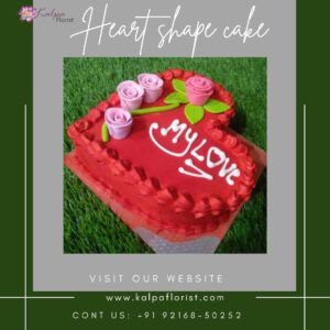 Heart Shape Cake Near Me Online Cake Delivery Jalandhar Near MeFind : Heart Shape Cake Near Me | Online Cake Delivery Jalandhar | Kalpa Florist, online cake delivery jalandhar, online cake and flower delivery in jalandhar, online cake delivery in jalandhar punjab, online birthday cake delivery in jalandhar, online cake and gifts delivery in jalandhar, best online cake delivery in jalandhar, online cake delivery in jalandhar cantt, eggless cake online delivery in jalandhar, best online cake delivery in jalandhar, online delivery of cake in jalandhar, online cake delivery in jalandhar city, online cake delivery jalandhar, online cake and flower delivery in jalandhar heart shape cake near me, heart shaped cake pan near me, how to make a heart shaped cake without a heart shaped pan, where can i buy a heart shaped cake pan, heart shaped cookie cake near me, how to make a heart shaped cake pan, heart shape cake shop near me, where can i buy a heart shaped cake, heart shape cake tin near me, Heart Shape Cake Near Me | Online Cake Delivery Jalandhar | Kalpa Florist