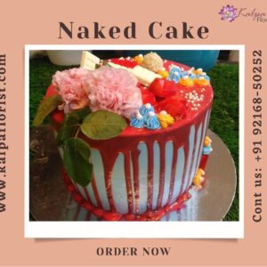 Naked Drip Cake Send Cake For Birthday jalandhar
