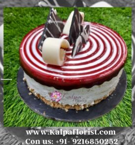 Blueberry Cheesecake | Order Cake Online Near Me | Kalpa Florist, order cake online near me, order cake online in india, order birthday cake online near me, birthday cake online order near me, order cake online in ludhiana, order cake online in chandigarh, order cake online in hyderabad, order cake online in chennai, order cake online in delhi, online birthday cake delivery near me, order cake online in ghana, order cake online in patna, order cake online in jamshedpur, order a birthday cake online near me, order cake online in hyderabad india, order custom cake online near me, order cake online in mumbai, order birthday cake online for delivery near me, buy order cake online in indore, order cake online in kanpur, order cake online in vijayawada, can we order cake online, rasmalai cake order online near me, order cake online in warangal, where to order cakes online near me, order cake online in meerut, order cake online in noida, where can i order cake online near me, buy cake online near me, order cake online in belgaum, order cake online in kolkata, how to order cake online near me, order cake online in hisar,  order ice cream cake online near me, Blueberry Cheesecake | Order Cake Online Near Me | Kalpa Florist