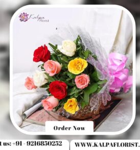 Special Mixed Roses Bouquet | Flower Delivery Near Me | Kalpa Florist, flower delivery near me, flower delivery near me same day, flower shop near me delivery, flower delivery near me today, local flower delivery near me, flower delivery service near me, flower delivery places near me, best prices for flower delivery, flower arrangements delivery near me, best flower delivery near me, fresh flower delivery near me, sympathy flowers delivery near me, flower bouquet delivery near me, peony flower delivery near me, what to send instead of flowers for birthday, balloon and flower delivery near me, cake and flower delivery near me, can i get flowers delivered today, flower delivery near me cheap, flower delivery mother's day near me, how much is flower delivery, weekly flower delivery near me, valentines flower delivery near me,  flower delivery driver jobs near me,  part time flower delivery jobs near me,  flower home delivery near me,  best local flower delivery,  how to get flowers delivered to someone,  flower delivery near me now,  annual flower delivery near me, last minute flower delivery near me,  affordable flower delivery near me,  can i have flowers delivered today, is there any florists open near me,  where can i order flowers for delivery,  order flower delivery near me,  how do i get flowers delivered to someone,  buy flower delivery near me free delivery, flower gift delivery near me,  easter flower delivery near me, flower bouquet online delivery near me, can you get flowers delivered same day, flower delivery near me next day, flower delivery ludhiana, exotic flower delivery near me,  flower delivery near me open now,  quick flower delivery near me, rose flower delivery near me, Special Mixed Roses Bouquet | Flower Delivery Near Me | Kalpa Florist
