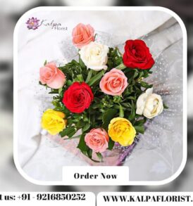 Special Mixed Roses Bouquet | Flower Delivery Near Me | Kalpa Florist, flower delivery near me, flower delivery near me same day, flower shop near me delivery, flower delivery near me today, local flower delivery near me, flower delivery service near me, flower delivery places near me, best prices for flower delivery, flower arrangements delivery near me, best flower delivery near me, fresh flower delivery near me, sympathy flowers delivery near me, flower bouquet delivery near me, peony flower delivery near me, what to send instead of flowers for birthday, balloon and flower delivery near me, cake and flower delivery near me, can i get flowers delivered today, flower delivery near me cheap, flower delivery mother's day near me, how much is flower delivery, weekly flower delivery near me, valentines flower delivery near me,  flower delivery driver jobs near me,  part time flower delivery jobs near me,  flower home delivery near me,  best local flower delivery,  how to get flowers delivered to someone,  flower delivery near me now,  annual flower delivery near me, last minute flower delivery near me,  affordable flower delivery near me,  can i have flowers delivered today, is there any florists open near me,  where can i order flowers for delivery,  order flower delivery near me,  how do i get flowers delivered to someone,  buy flower delivery near me free delivery, flower gift delivery near me,  easter flower delivery near me, flower bouquet online delivery near me, can you get flowers delivered same day, flower delivery near me next day, flower delivery ludhiana, exotic flower delivery near me,  flower delivery near me open now,  quick flower delivery near me, rose flower delivery near me, Special Mixed Roses Bouquet | Flower Delivery Near Me | Kalpa Florist