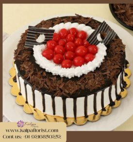 Black Forest Cake | Send Cake In India | Kalpa Florist, send cake in india, send cake to india, send cake to india from usa, how to send a cake online for birthday, how to send cake in india, send cake to india hyderabad, send cake to india from canada, want to send cake for birthday in india, how to send birthday cake to india, send birthday cake and flowers online in india, how to deliver cake in canada from india, how to order cake online in india, how to deliver cake in delhi, send cake anywhere in india, how to send cake from india to usa, how can i send cake to india, how to send birthday cake online in india, to send flowers and cake in india, send cake to mumbai india, cake delivery in bangalore india, best send cake to india from uk, online cake delivery to usa from india, which cake is good for birthday, send cake to india from australia, online cake delivery in india same day, send cake to india today, send cake in usa from india, online cake delivery in india ahmedabad, send cake to ludhiana india, online cake delivery in india lucknow, cake delivery in goa india, online cake delivery in india chennai, online cake delivery to india from canada, how to order cake to india, Black Forest Cake | Send Cake In India | Kalpa Florist,