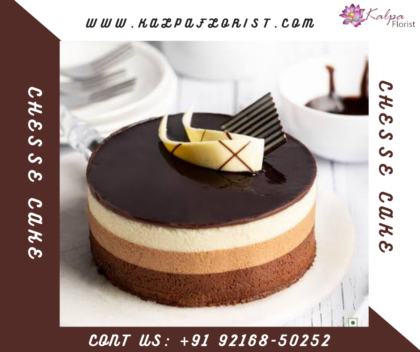 Chocolate Cheesecake | Send Cake To Patiala | Kalpa Florist